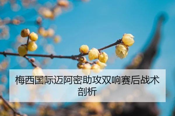mei-xi-guo-ji-mai-a-mi-zhu-gong-shuang-xiang-sai-hou-zhan-shu-pou-xi-2-110.jpg